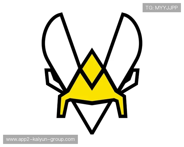 战队内部管理体系逐步对外公开透明化，游戏战队管理体系